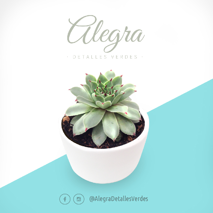 Product Photography